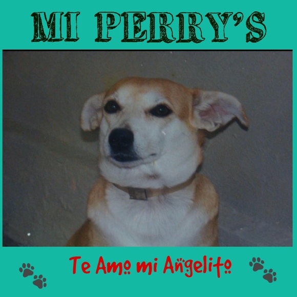 Meet your Posher, Micky - Picture 1 of 1